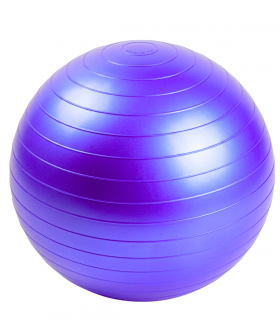 PELOTA P/GYM 90CM GD