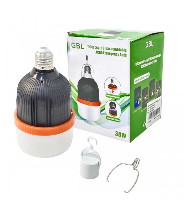 FOCO RECARGABLE  30W