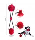 JUGUETE P/PERRO PELOTA C/VENTOSA