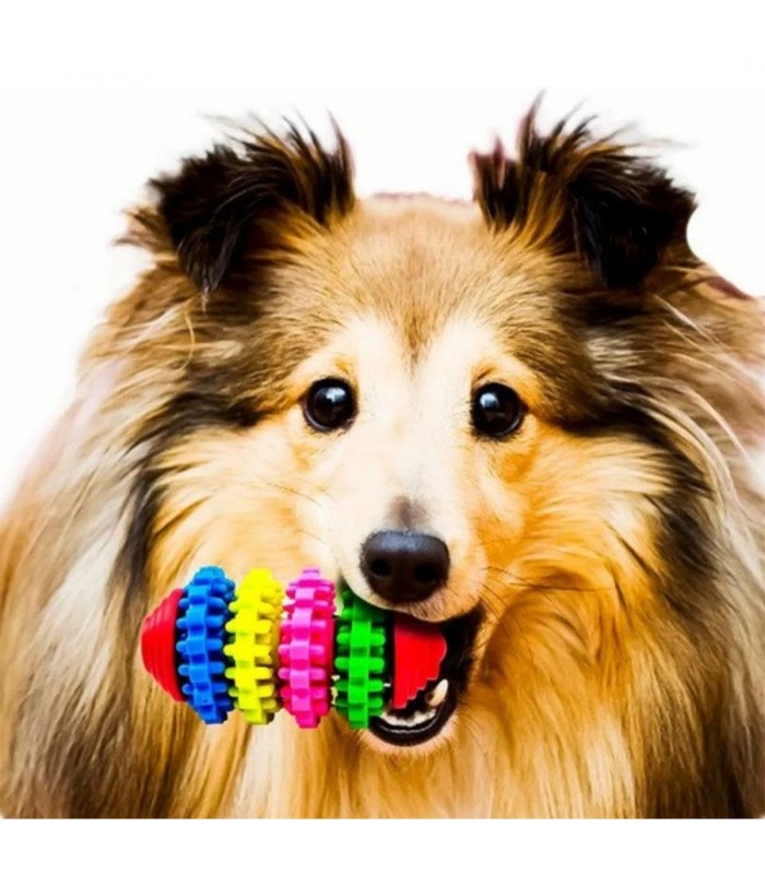 JUGUETE P/PERRO DOUGEZ