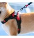 PECHERA P/PERRO PQ PET