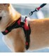 PECHERA P/PERRO MD PET