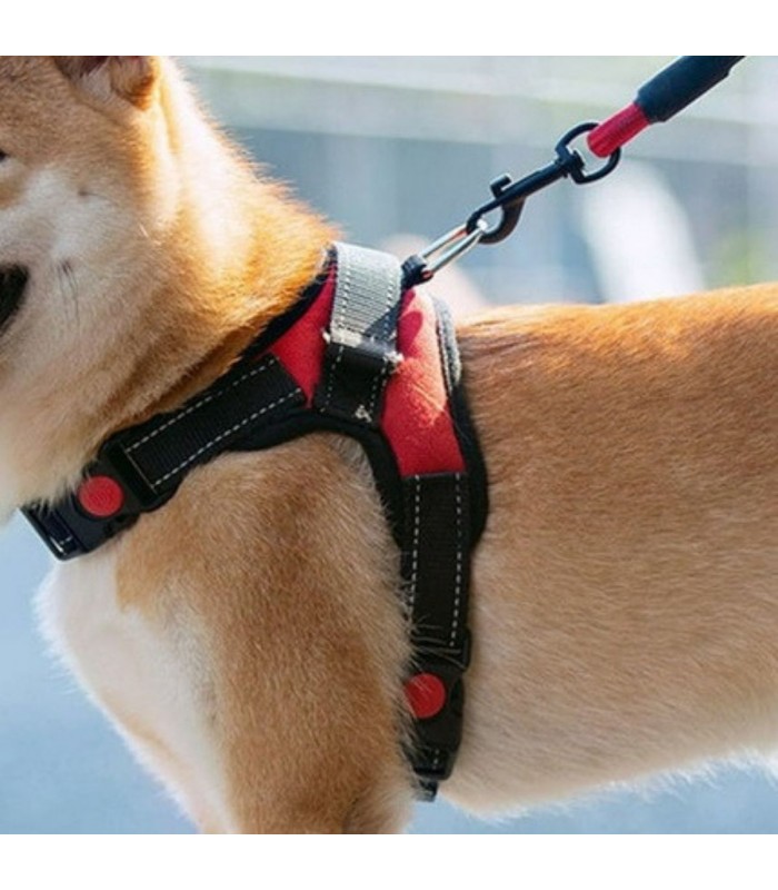 PECHERA P/PERRO MD PET