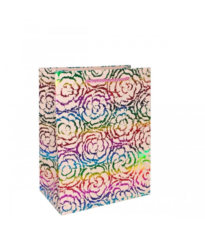 BOLSA P/REGALO 18X23CM PQ COLORIDO