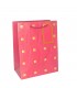 BOLSA P/REGALO 18X23CM PQ