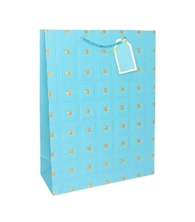 BOLSA P/REGALO 30X40CM GD