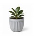 ADORNO PLANTERA D/PLASTICO 9.5CM PQ