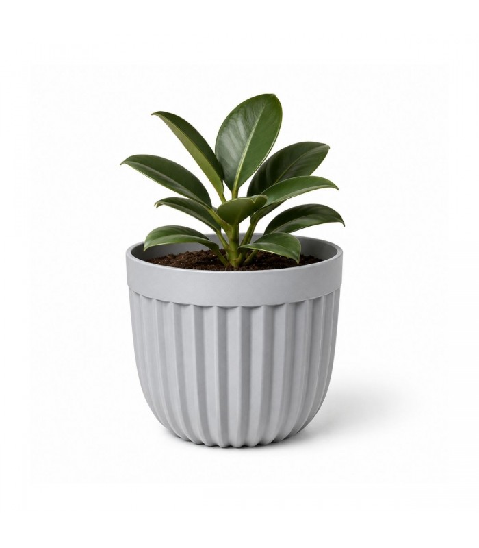 ADORNO PLANTERA D/PLASTICO 9.5CM PQ