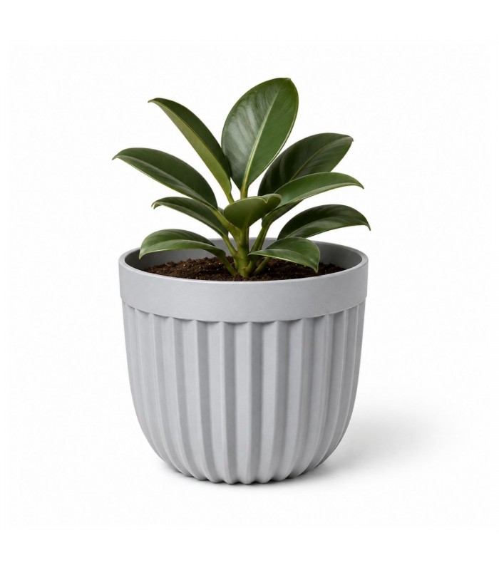 ADORNO PLANTERA D/PLASTICO 11CM RED