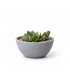 ADORNO PLANTERA D/PLASTICO PQ
