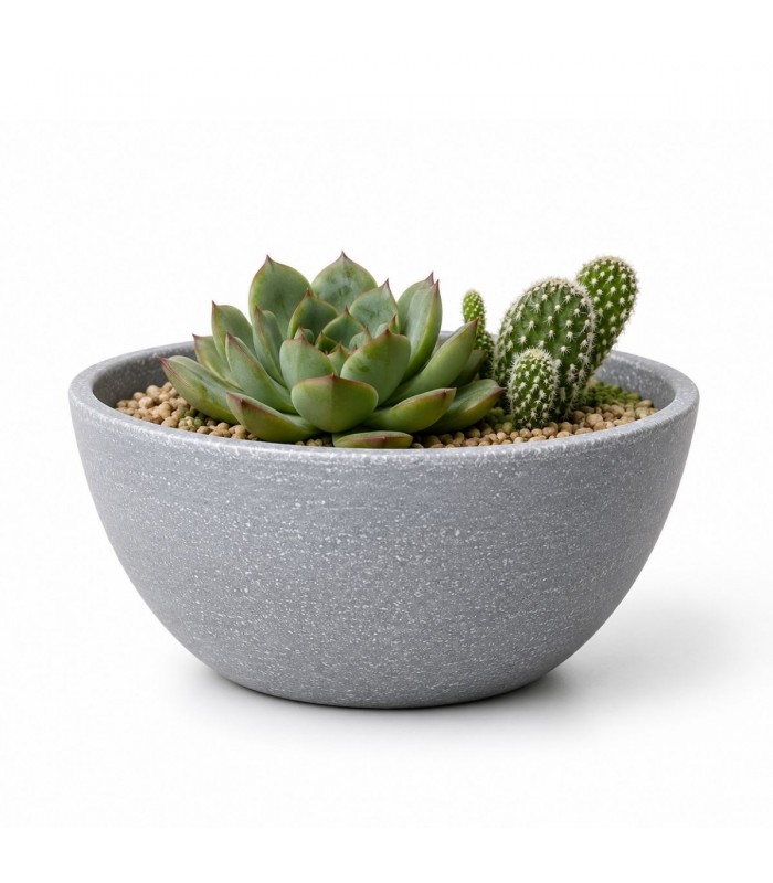 ADORNO PLANTERA D/PLASTICO RED